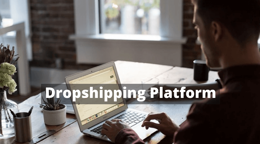 We Use MyDepot As A Dropshipping Platform Why?
