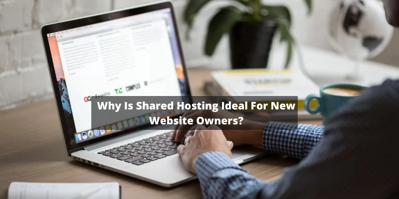 Why Is Shared Hosting Ideal For New Website Owners?